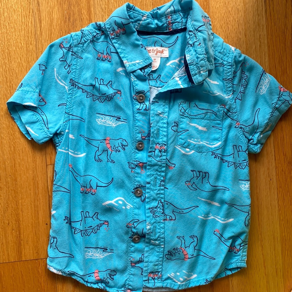 Cat & Jack dinosaur button down shirt
